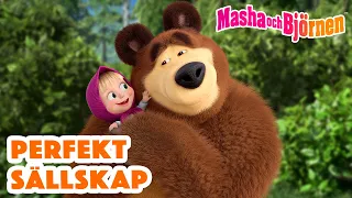 Masha och Björnen 👧🐻 ✌️ Perfekt sällskap 😊 Samling av avsnitt 🎬