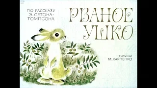 Диафильм Рваное ушко /по рассказу Э.Сетона-Томпсона/