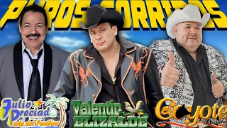Valentin Elizalde y Julio Preciado, El Coyote - 30 Canciones Exitos De Corridos Con Banda