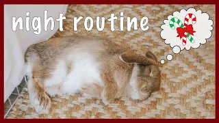Holiday Night Routine (with a pet bunny!)