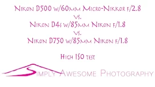 D500 vs. D4S vs. D750 high ISO comparison