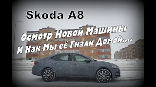 Skoda: Как Мы Забирали и Гнали Новую Skoda A8 (2022)