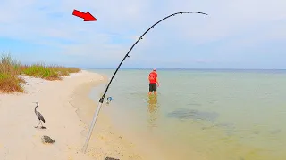 This is Why You Never Walk Away from Your Fishing Rod