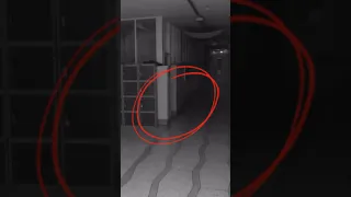 This appears to be a real ghost caught on camera… 😱🤯