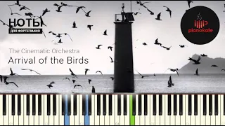 The Cinematic Orchestra - Arrival of the Birds НОТЫ & MIDI | PIANO COVER | PIANOKAFE