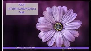 Your Internal Abundance Map