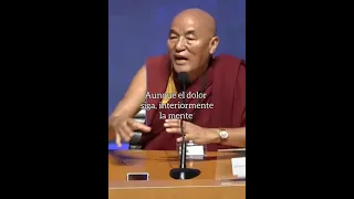 Podemos superar problemas | Thubten  Wangchen