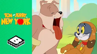 When Tom Turned Into a Dog | Tom & Jerry in New York | Boomerang UK