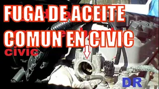 fuga de aceite comun en los honda civic - common leaks - liqueo comun en los honda civic