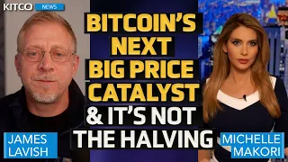 Bitcoin & Gold 'Sniff Out Endless Doom Debt Loop,' These Are the Next Price Catalysts – James Lavish