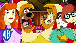 Scooby-Doo! | Scooby Dooby Slay! | WB Kids