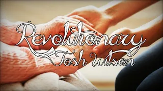 Revolutionary By Josh Wilson - Fan Worship Lyric Video