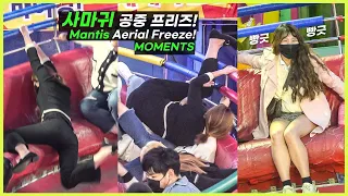 《Subs》 사마귀 공중 프리즈! Mantis Aerial Freeze moments! #디스코팡팡 #koreanculture #1117