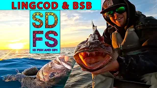 Solo Skiff Fishing Central California Lingcod & Protected Species Black Sea Bass Thanksgiving 2022