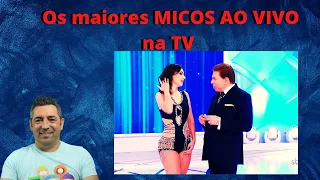 Português reage a Os maiores MICOS AO VIVO na TV Brasileira.😍😂🤣😁