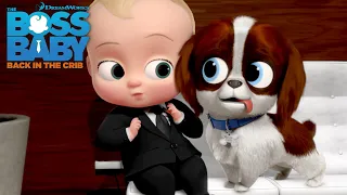 Operation Puppy Love | THE BOSS BABY: BACK IN THE CRIB | Netflix