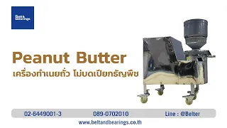 เครื่องทำเนยถั่ว Peanut Butter Grinder wet Soya Bean Grinder