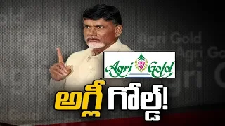 Agri Gold Scam: Victims Protests Continues | Sakshi Magazine Story | అగ్లీ గోల్డ్..!
