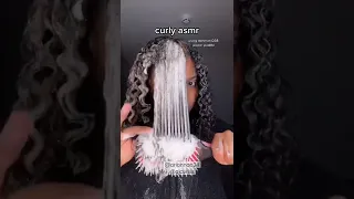 curly asmr ! using denman D38 power paddle🌺 curly natural hair type 3c/4a | arianna maria