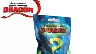 How to Train Your Dragon The Hidden World Mystery Dragons Mystery Pack