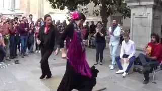 Flamenco dance (7) in Granada 2015