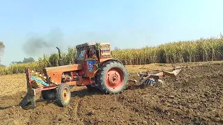 Disc Harrow | MTZ 50 Tractor pulling disc Harrow | good farming tractor performance