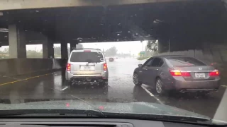 Freeway Surfs up on the 710