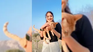 my cute cat 😺|love your voice song by jony|cute pets|cute animal video|@youtubeindia|Bloopervideo |