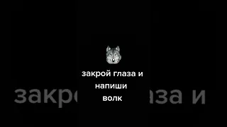 закрой глаза и напиши волк #shorts