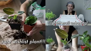 Etsy plant haul & unboxing