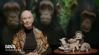 V.O. Complete. Life lessons of an indomitable spirit. Jane Goodall, primatologist