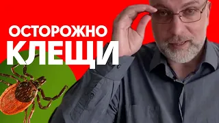 Осторожно клещи! Порядок действий если укусил клещ