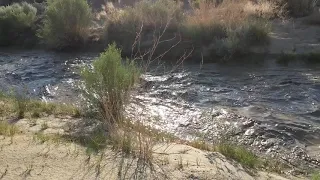 Flash Flood in Capitol Reef National Park