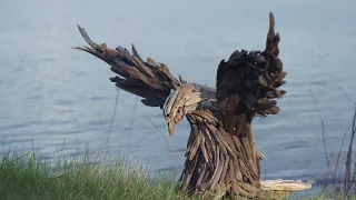 Finding Minnesota: Driftwood Art