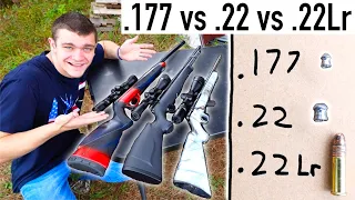 .177 vs .22 vs .22lr (Airgun vs. Real Gun)