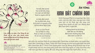 Tụng Kinh Bát Chánh Đạo - TT. Thích Thiện Quang