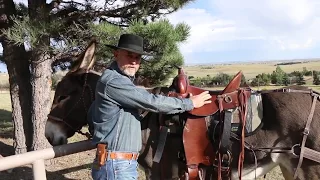 How to keep your Saddle Donkey comfortable