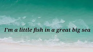 Madilyn - 小鱼 Little Fish (English Version) Lyric Video