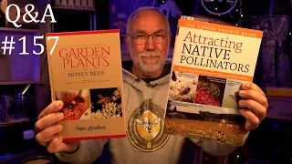 Backyard Beekeeping Questions and Answers Episode 157 plants, pollen, and more about nucleus hives.