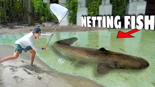 NETTING Tons of WILD SEA CREATURES For ALL My SALTWATER PONDS! (didn’t expect this..)