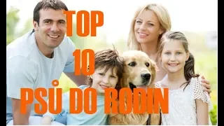 Top 10 psů do rodin