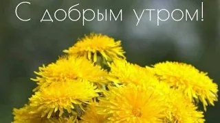 Доброе утро. Желаю отличных выходных  и замечательного  настроения.