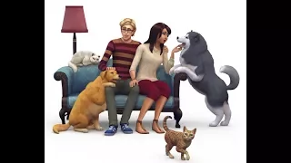 The sims 4 Кошки и собаки. Обзор с Юлией Фокс.