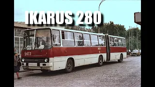 odc. 49 | IKARUS 280 - NAJPOPULARNIEJSZY AUTOBUS, LEGENDA KM /the most popular bus, the legend of PT