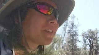 Tiffany on the PCT, SOBO '19 | Vlog #26 | Kennedy Meadows South to Highway 58