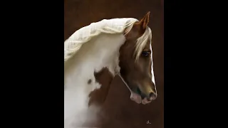 Tovero Paint Digital Horse Painting in Krita