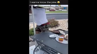 2 guys laughing at a table