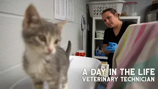 A Day In Life - Veterinary Technician