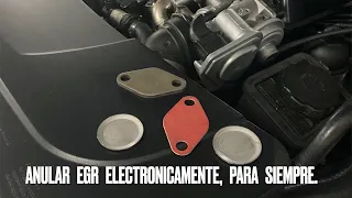 Anular EGR para siempre de forma electrónica.