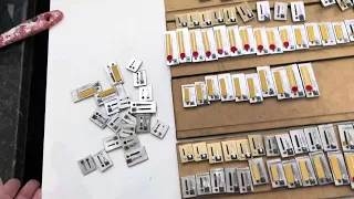 Thiago mostra 24 palhetas quebradas em uma sanfona